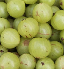 Amla Fruit Extract (Emblica Officinalis)