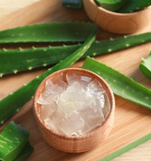 Aloe Vera (Aloe Barbadensis)