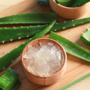 Aloe Vera (Aloe Barbadensis)