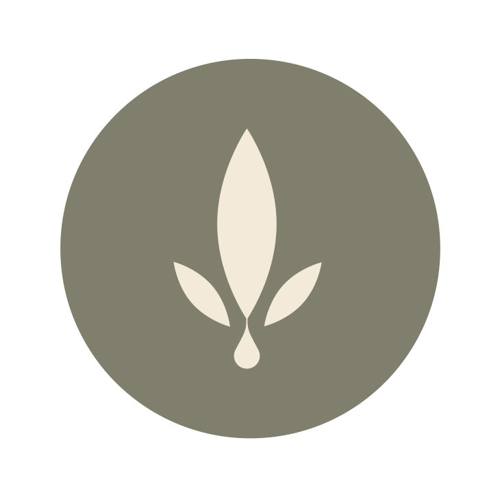 Rooted in Ayurveda x Powered by Modern-Day Alchemy