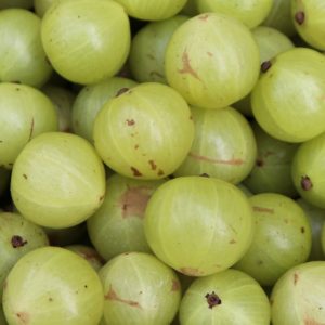 Amla Fruit Extract (Emblica Officinalis)