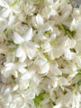 Strengthens Skin Barrier
