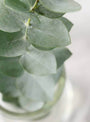 Deeply Hydrating & Soothing